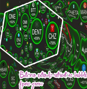 Crypto bubble net