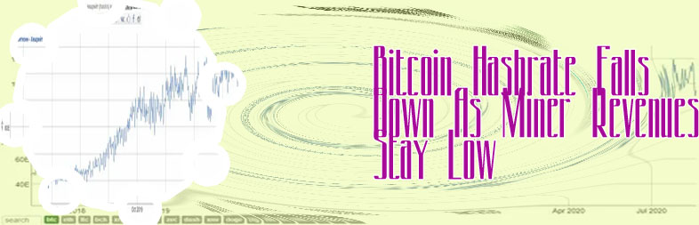 Hashrate bitcoin