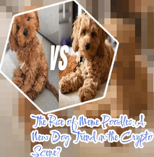 Poodle crypto price